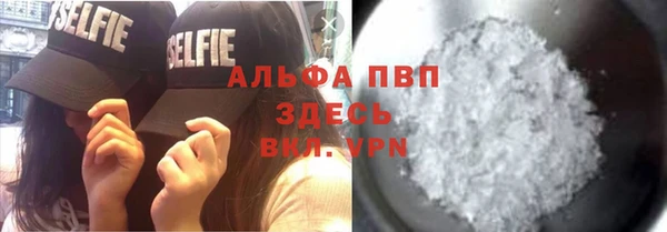 хмурый Кущёвская