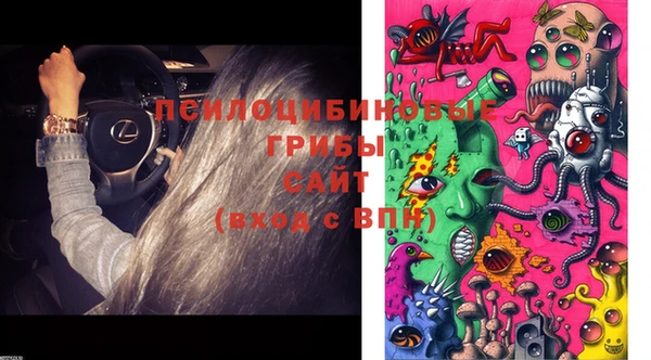 наркотики Зеленокумск