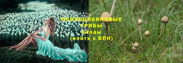 дурь Зерноград