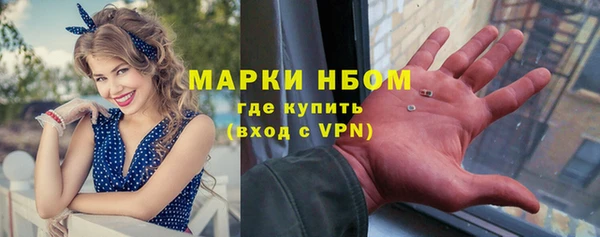spice Нестеровская